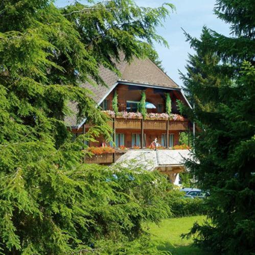 Hotel Garni Seebachstueble Titisee-Neustadt Exterior photo